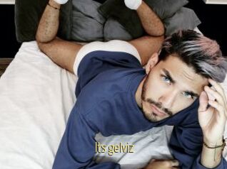 Its_gelviz