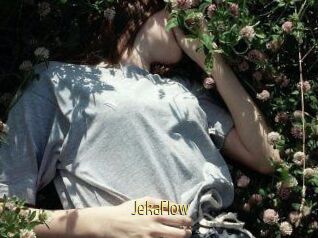 JekaFlow