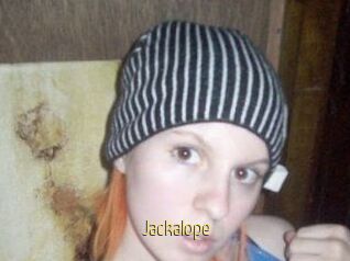 Jackalope