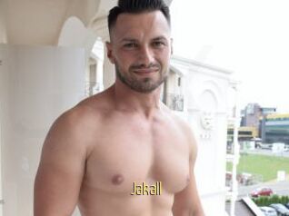 Jakall