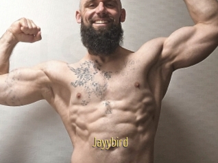Jayybird