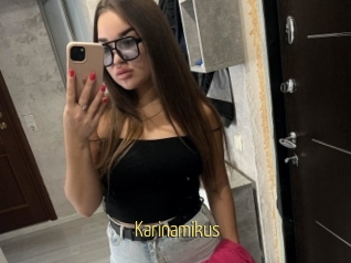 Karinamikus