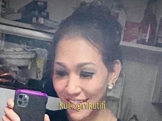 Kulkoginikutifi