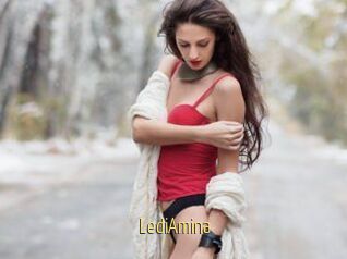 LediAmina