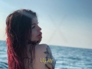 Lily_Jay