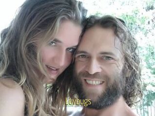 Luvbugs
