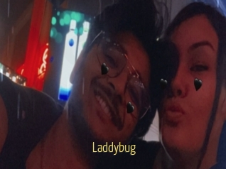 Laddybug