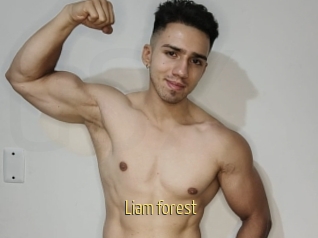 Liam_forest