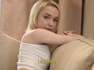 Lillabloom