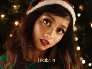 Lilsubcub