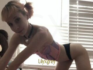 Lilyxgrey