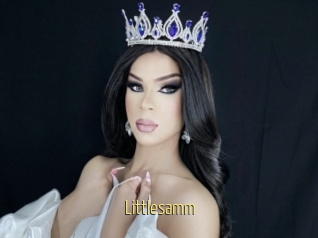Littlesamm