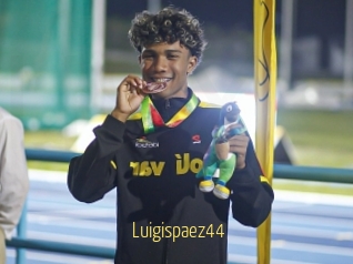 Luigispaez44