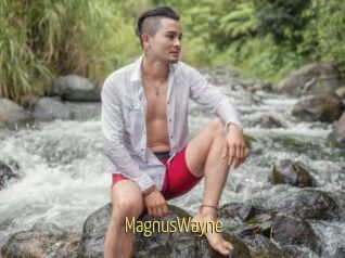 MagnusWayne