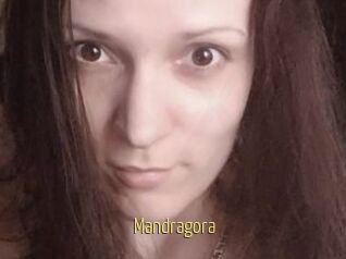 Mandragora