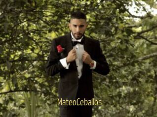 MateoCeballos