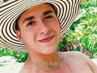 Mateo_Bunny