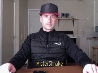 MisterShnake