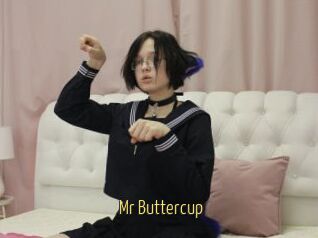 Mr_Buttercup