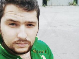 Mr_bear1