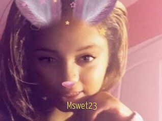 Mswet23