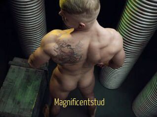 Magnificentstud