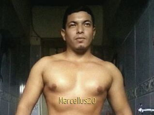 Marcellus20
