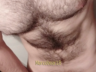 Marcobear18