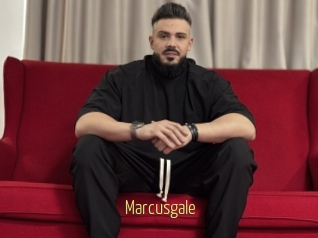 Marcusgale