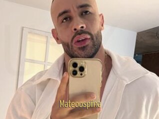 Mateoospiina