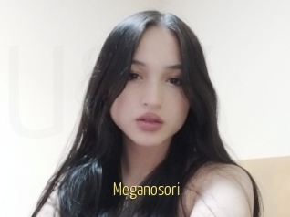 Meganosori