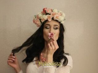 Meilssalissa