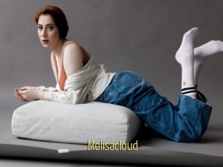 Melisacloud