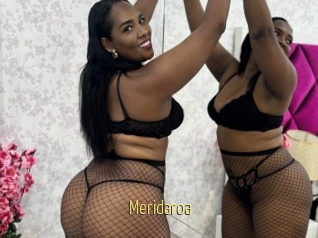 Meridaroa
