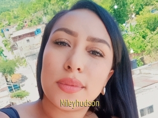 Mileyhudson