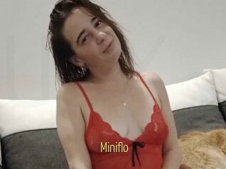 Miniflo