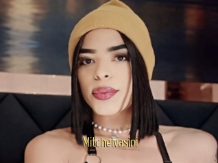 Mitchelvasini