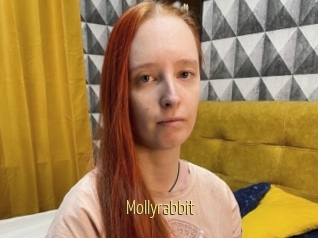 Mollyrabbit