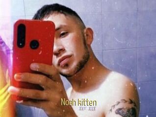 Noah_kitten