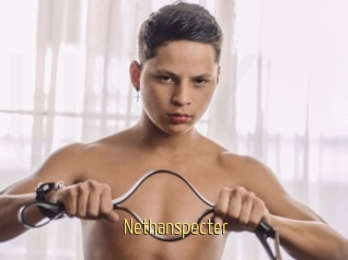 Nethanspecter
