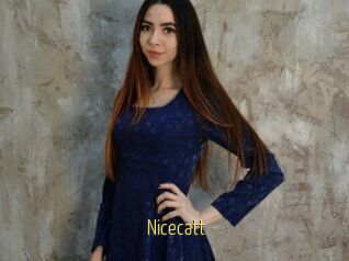 Nicecatt