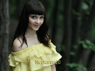Nicekarina20