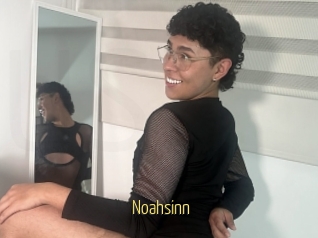Noahsinn