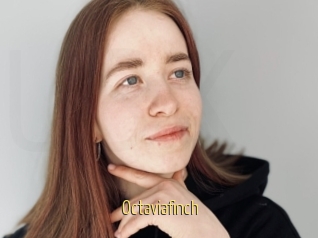 Octaviafinch