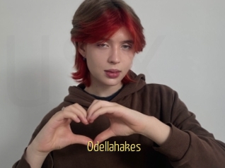 Odellahakes