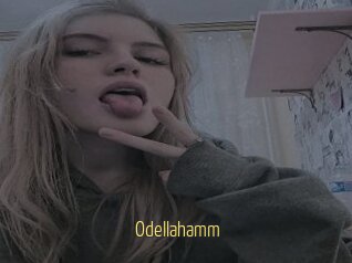 Odellahamm