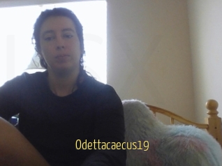 Odettacaecus19