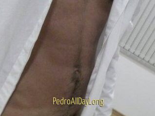 PedroAllDayLong