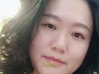 PidjkeL