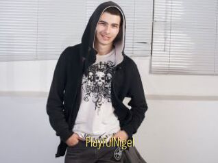 PlayfulNigel